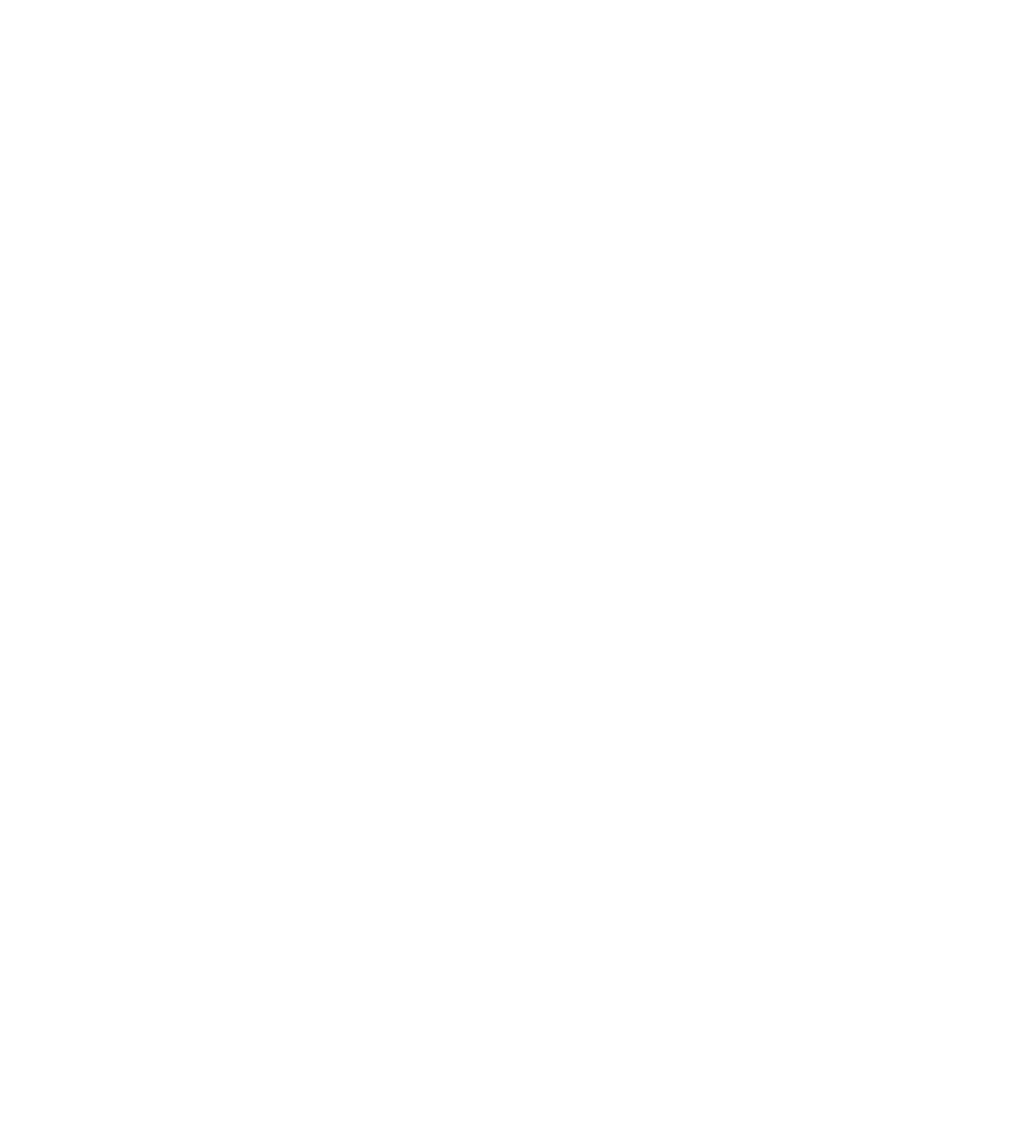 PDF Icon