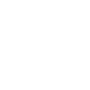 Toitu Logo 300